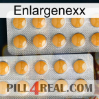 Enlargenexx levitra2